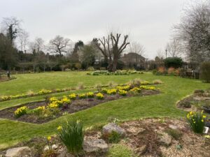 View across the garden